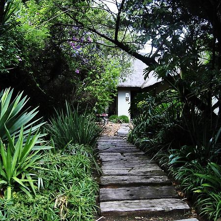 Birch Tree Cottage Johannesburg Ngoại thất bức ảnh