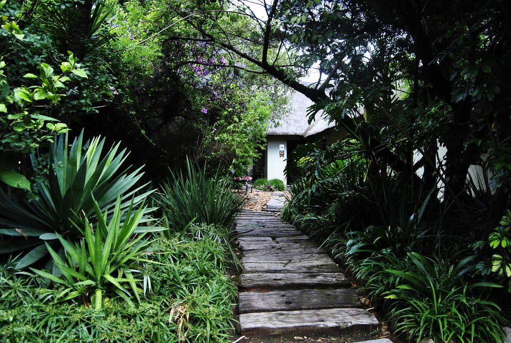 Birch Tree Cottage Johannesburg Ngoại thất bức ảnh