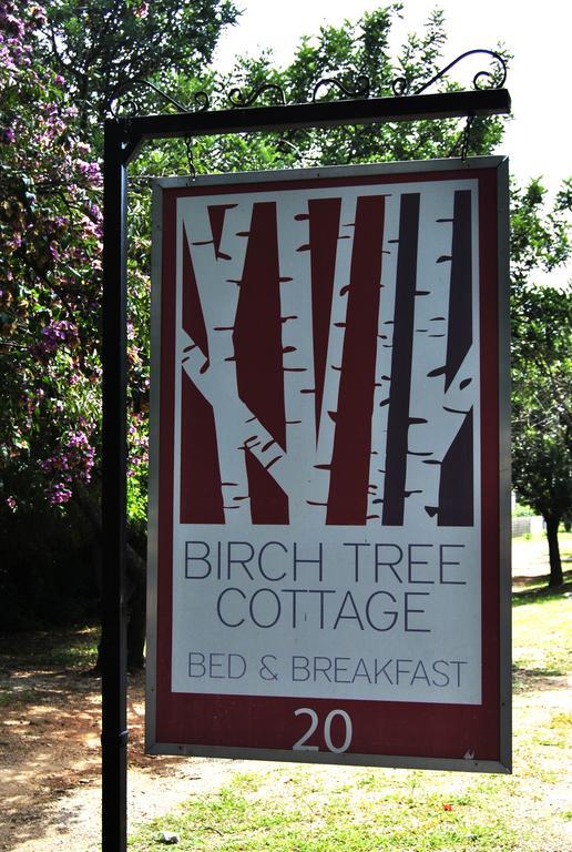 Birch Tree Cottage Johannesburg Ngoại thất bức ảnh