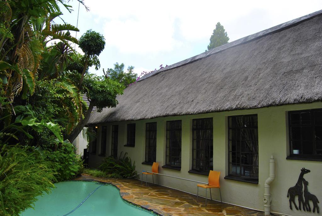 Birch Tree Cottage Johannesburg Ngoại thất bức ảnh